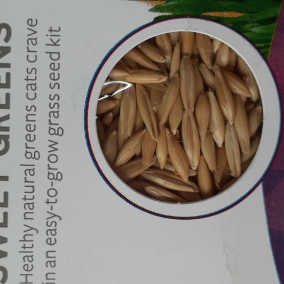 SALE!!! Brand New SMARTYKAT Sweet Greens Grass Seed KIT - Picture 3 of 3